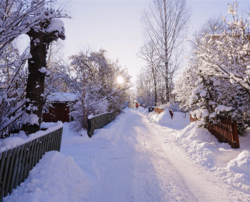 316-gallery2-tapanila-helsinki-finland-snow-walking