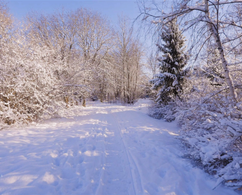 316-gallery9-tapanila-helsinki-finland-snow-walking