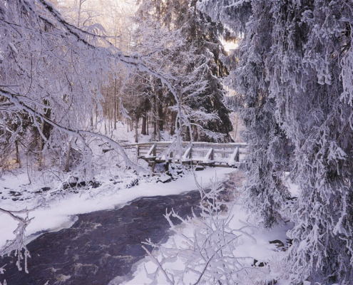 308-gallery1-nukari-rapids-winter-forest-walk-finland