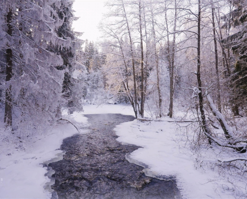 308-gallery3-nukari-rapids-winter-forest-walk-finland