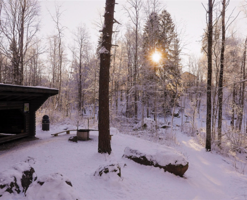 308-gallery6-nukari-rapids-winter-forest-walk-finland