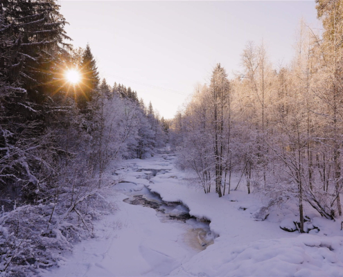 308-gallery7-nukari-rapids-winter-forest-walk-finland